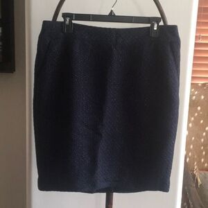 Cute Navy Blue Tweed Skirt
